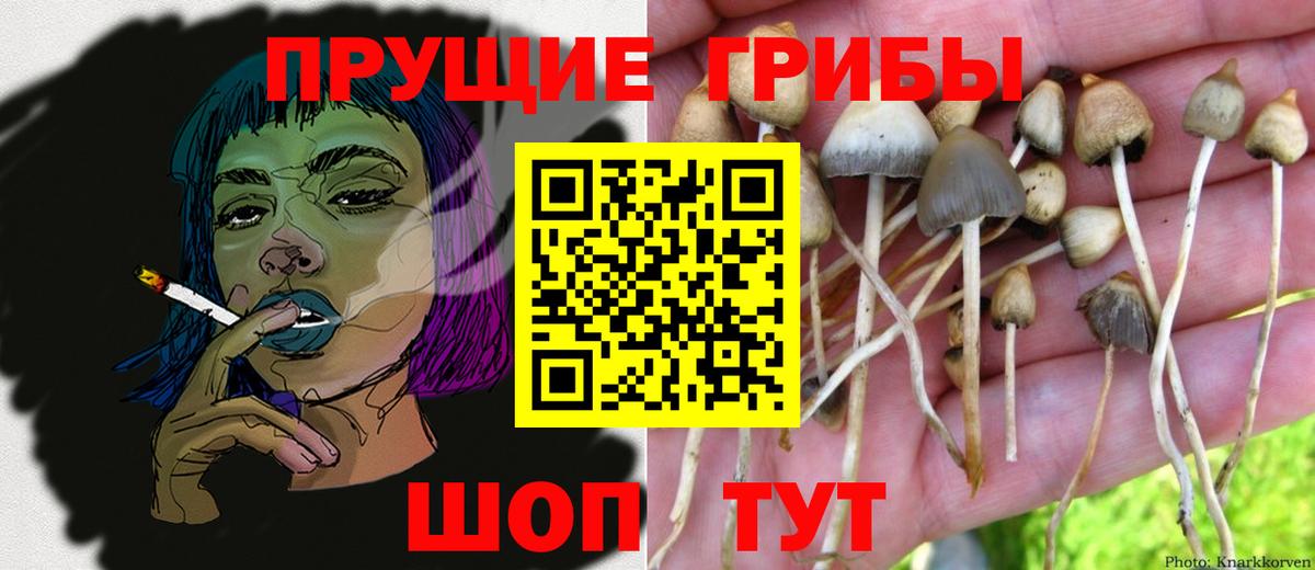 Ахтубинск  Галлюциногенные грибы GOLDEN TEACHER  Вход с VPN 